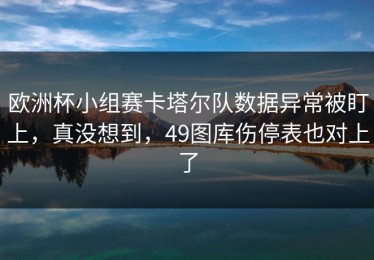 欧洲杯小组赛卡塔尔队数据异常被盯上，真没想到，49图库伤停表也对上了
