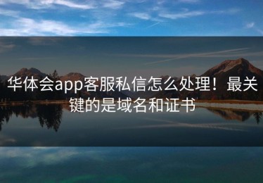 华体会app客服私信怎么处理！最关键的是域名和证书