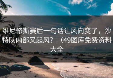 维尼修斯赛后一句话让风向变了，沙特队内部又起风？（49图库免费资料大全