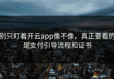 别只盯着开云app像不像，真正要看的是支付引导流程和证书