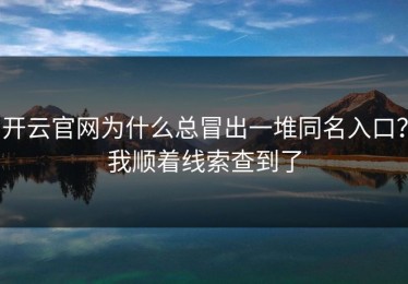 开云官网为什么总冒出一堆同名入口？我顺着线索查到了
