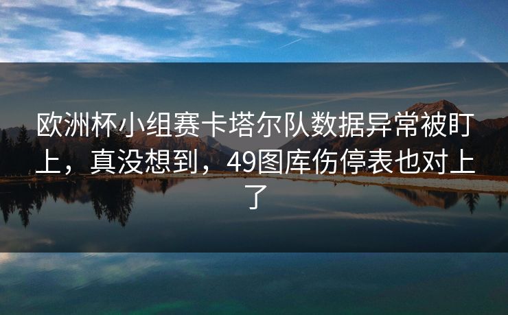 欧洲杯小组赛卡塔尔队数据异常被盯上，真没想到，49图库伤停表也对上了