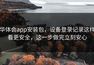 华体会app安装包，设备登录记录这样看更安全，这一步做完立刻安心