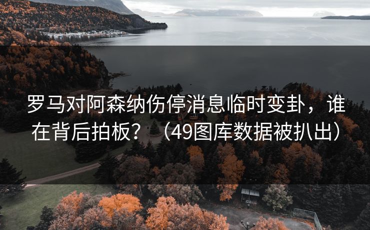 罗马对阿森纳伤停消息临时变卦,谁在背后拍板?(49图库数据被扒出) 罗马对阿森纳伤停消息临时变卦,谁在背后拍板?(49图库数据被扒出)
